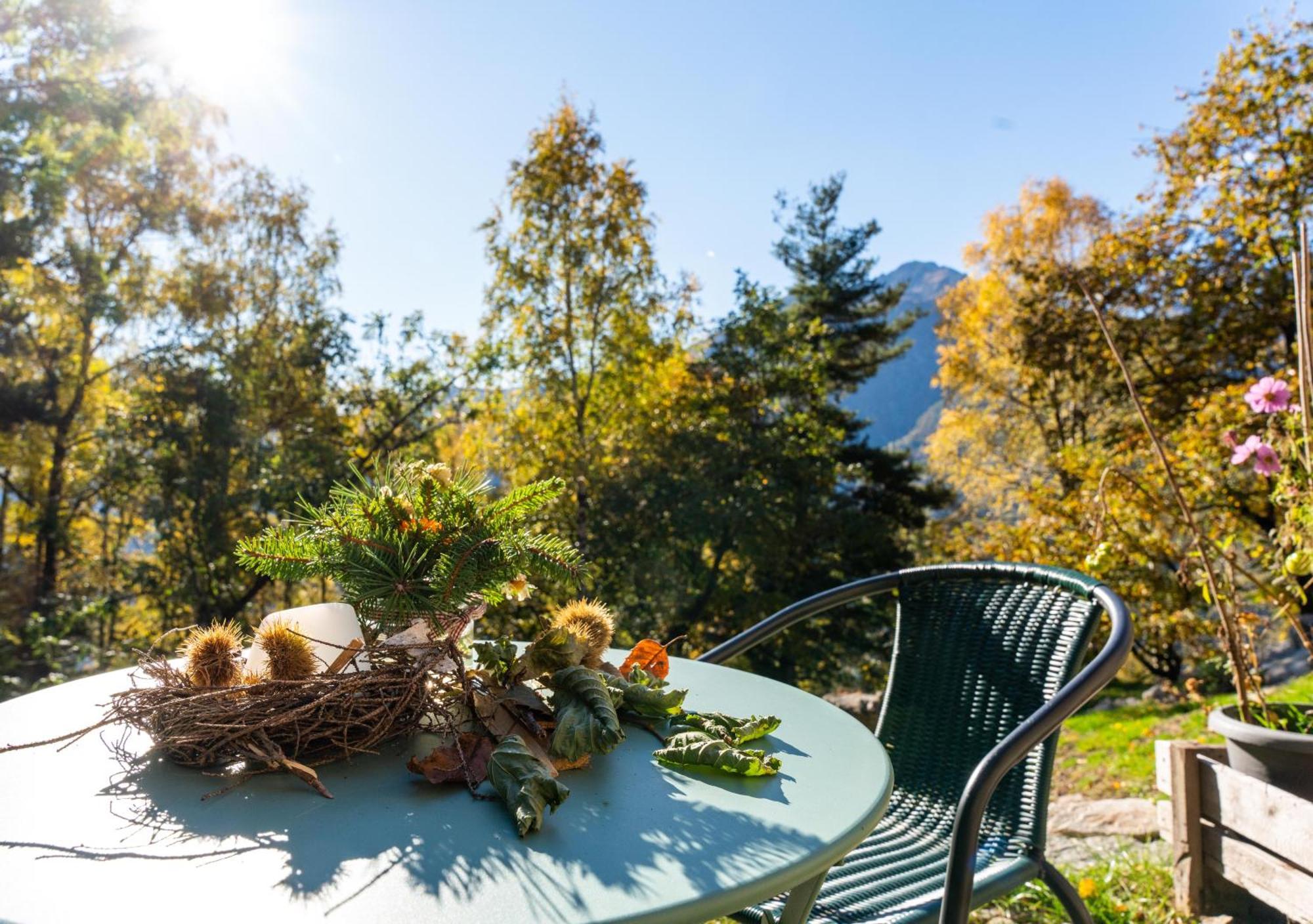 Resalbert Chalet Chiavenna Eksteriør billede